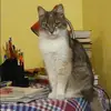 Отзыв от Варвара Зайцева